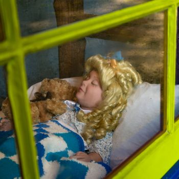fairy-tale-forest-goldilocks-three-5