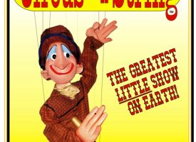 Circus on a String Marionette Sow