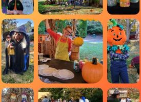 Pumpkin Patch at  Fairy Tale Forest